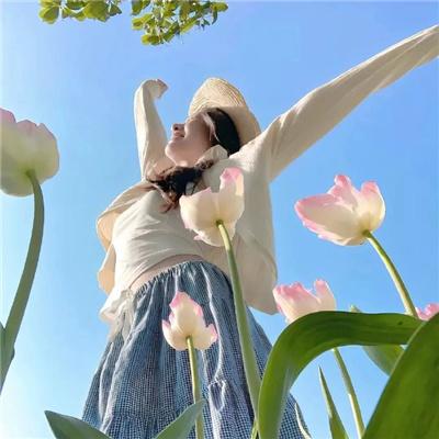 百战天龙第五季